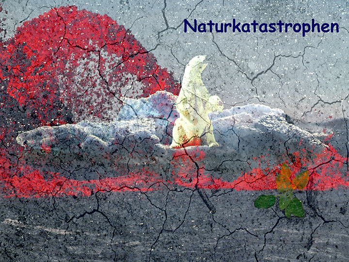 Naturkatastrophen Media Literacy Award 2018