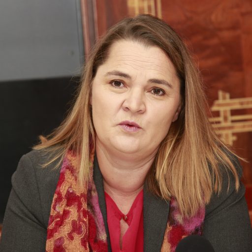 Univ. Prof.in Dr.in Birgit Rami-Merhar, Leiterin der Diabetesambulanz der Universitätsklinik für Kinder und Jugendheilkunde der Meduni Wien