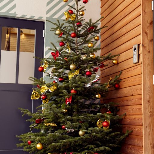 festlich_geschmueckter_weihnachtsbaum