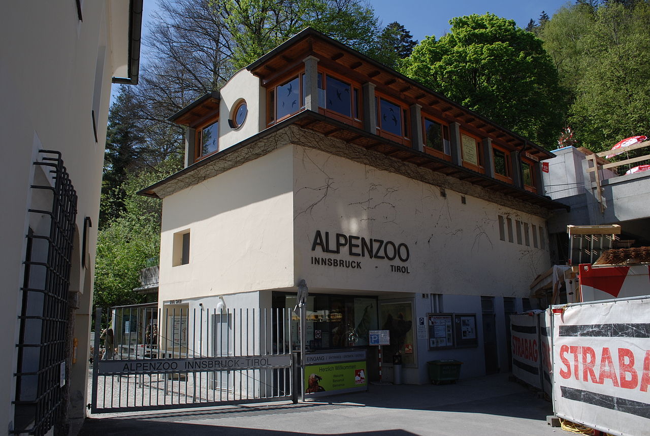 innsbruck alpenzoo