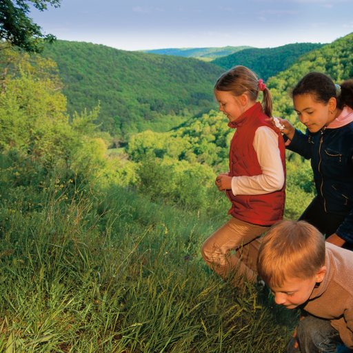 Nationalpark Thayatal