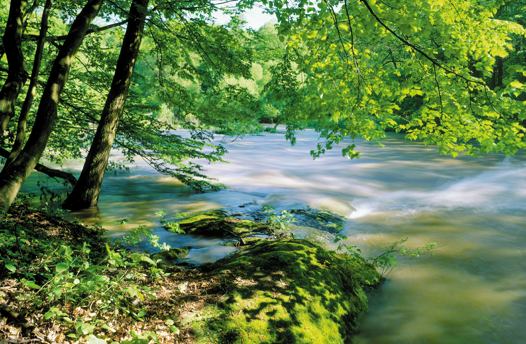 Rauschende-Thaya_BR_NP-Thayatal_-D--Manhart