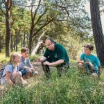 Usedom Wald Förster