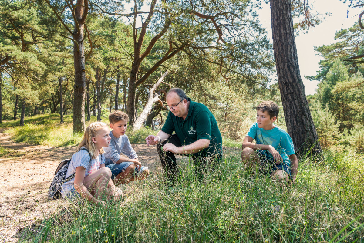 Usedom Wald Förster