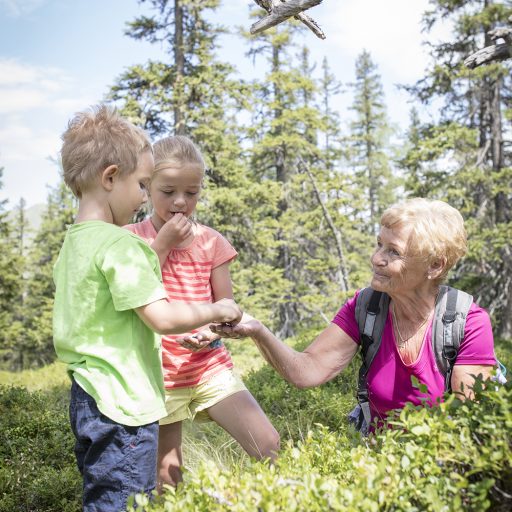 familie_beim_schwarzbeerenpfluecken_im_raurisertal_c_florian_bachmeier_tourismusverband_rauris