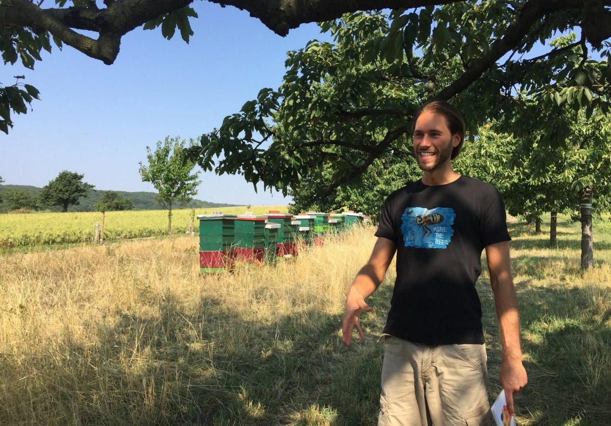 jois imkerei tötschinger