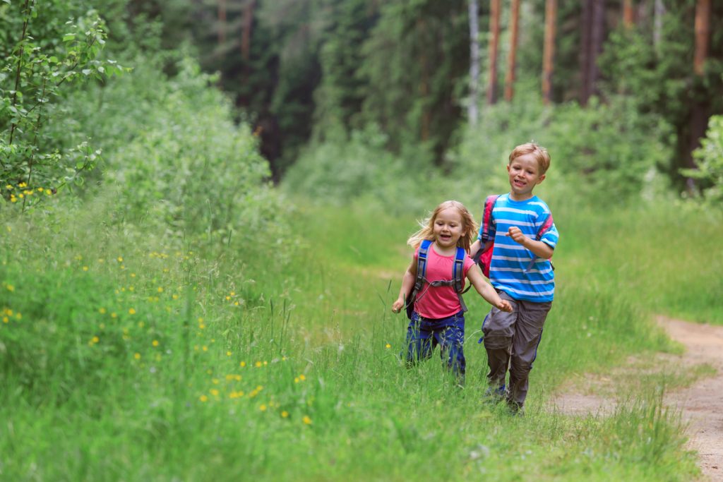 kinder wandern im wald