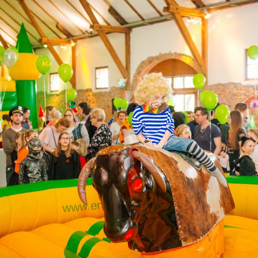 WIKI Erlebnisfasching Graz 3