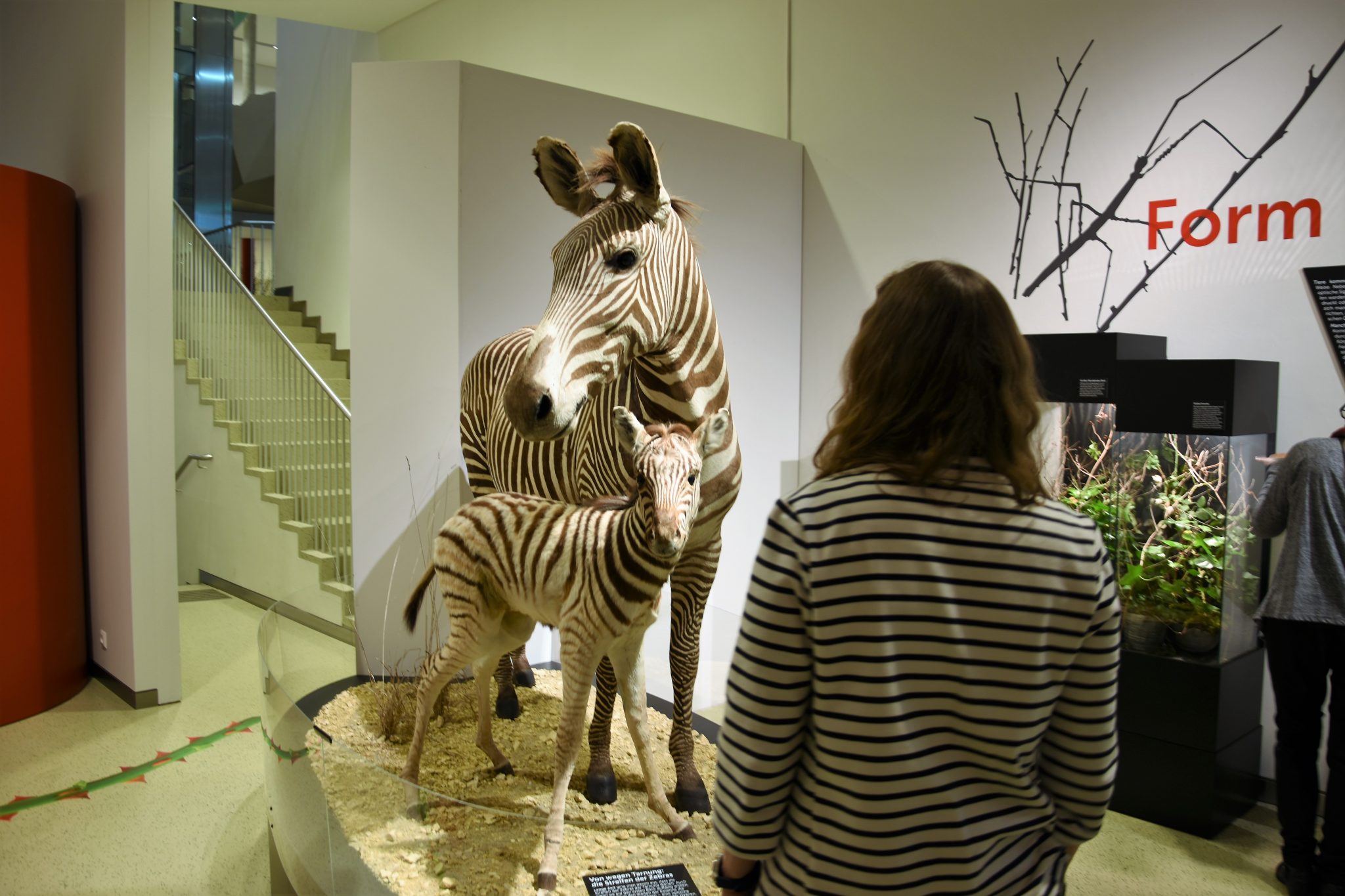 Haus für Natur: Form und Farbe als Waffen