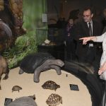 Haus für Natur: Schützen