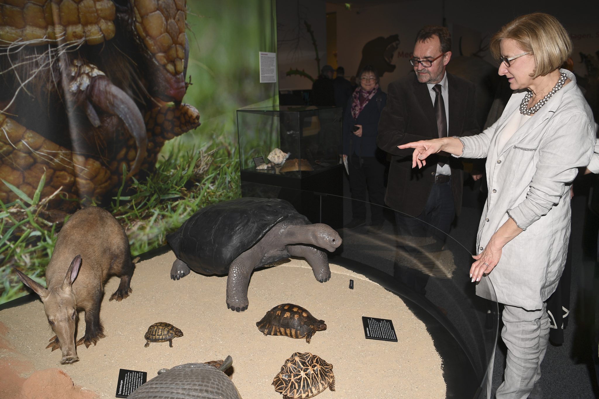 Haus für Natur: Schützen