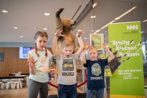 Museum Niederösterreich Sonderausstellung Stechen. Kratzen. Beißen