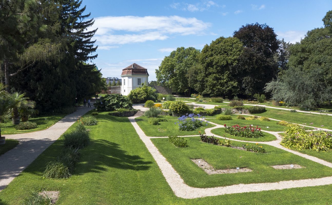 Botanischer Garten der Universität Wien - familiii - kidsnatur Gartenkinder