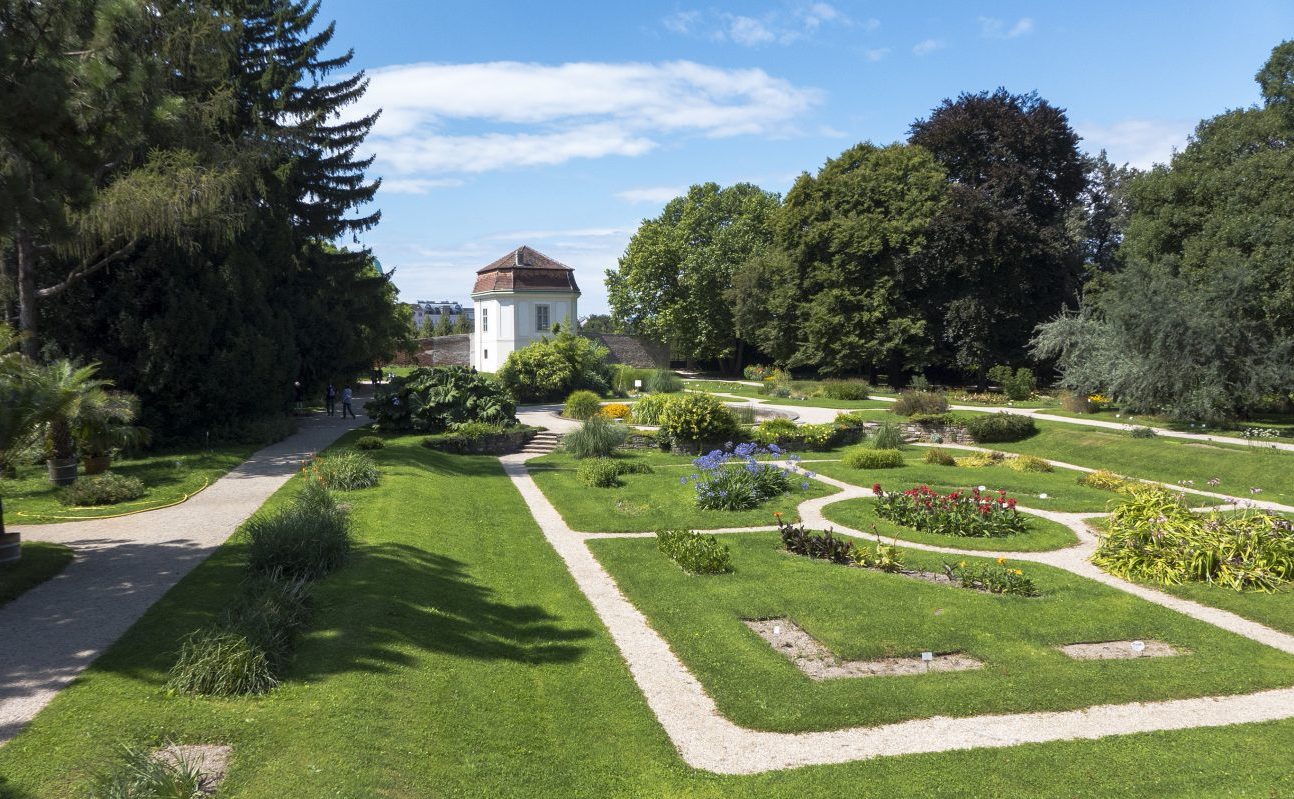 Botanischer Garten Universität Wien