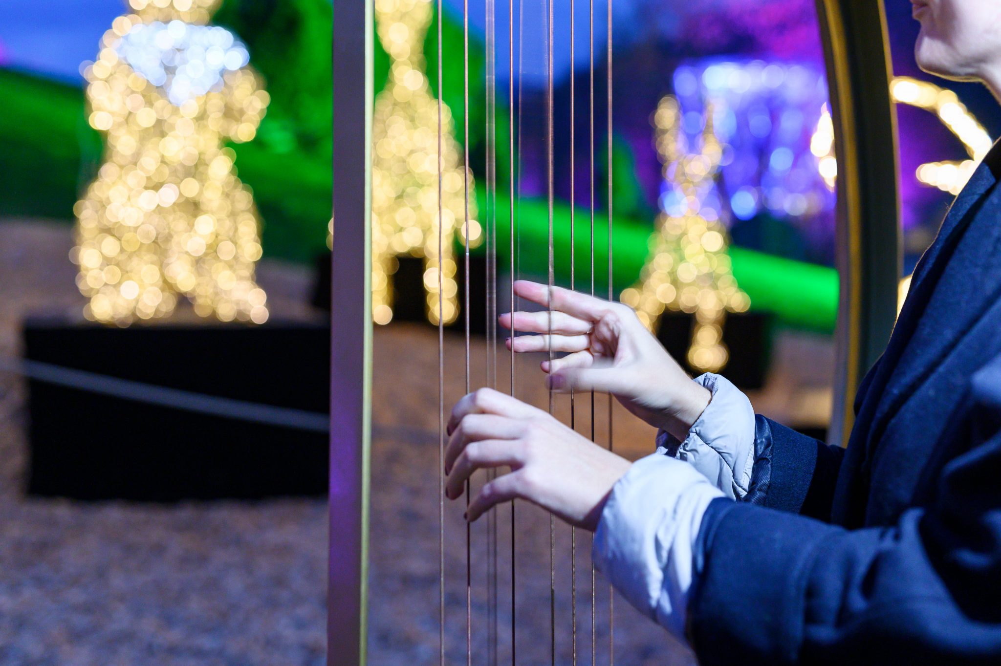 Lichtfestival 2019 in den Swarovski Kristallwelten eröffnet - 4 (1)