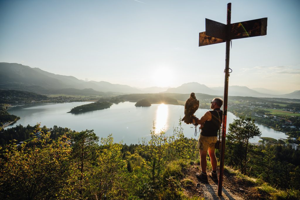 BILD zu OTS - Falkner Franz Schüttelkopf mit Adler Bruno beim Sonnenuntergang auf der Taborhöhe beim Faaker See