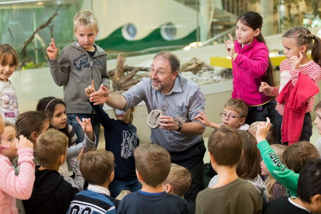 Museum Niederösterreich: Begeistern für Natur und Geschichte