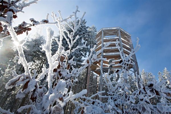 Lipno_Baumwipfelpfad