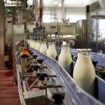 Berglandmilch Mehrwegglasflaschenabfüllung berglandmilch Aschbach NÖ