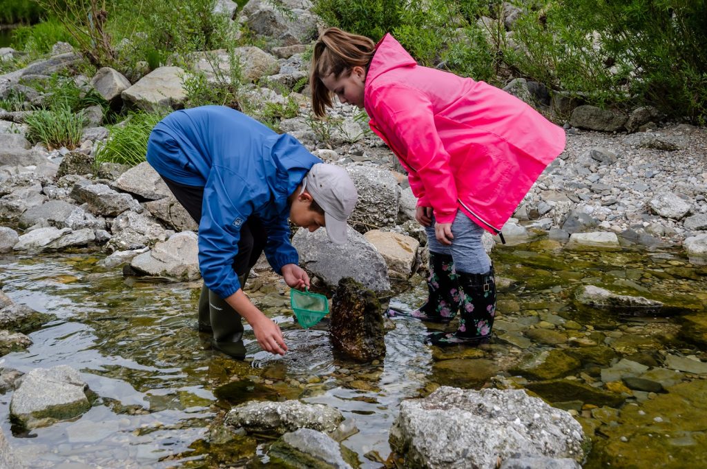 EVN-Junior-Ranger an der Erlauf