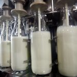 Mitja_Kobal-greenpeace