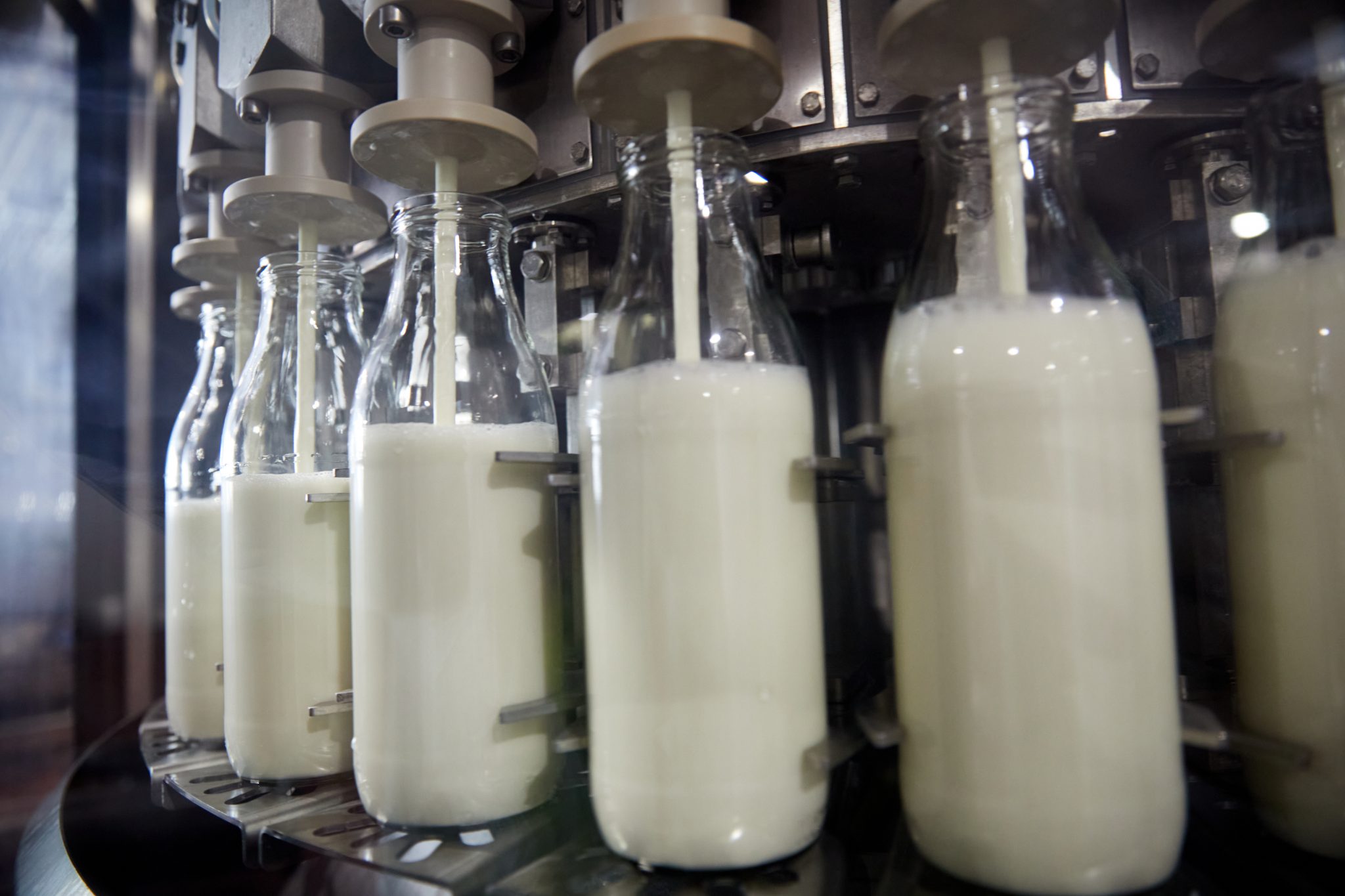 Mitja_Kobal-greenpeace