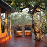 Thanda Tented Camp - Private Deck