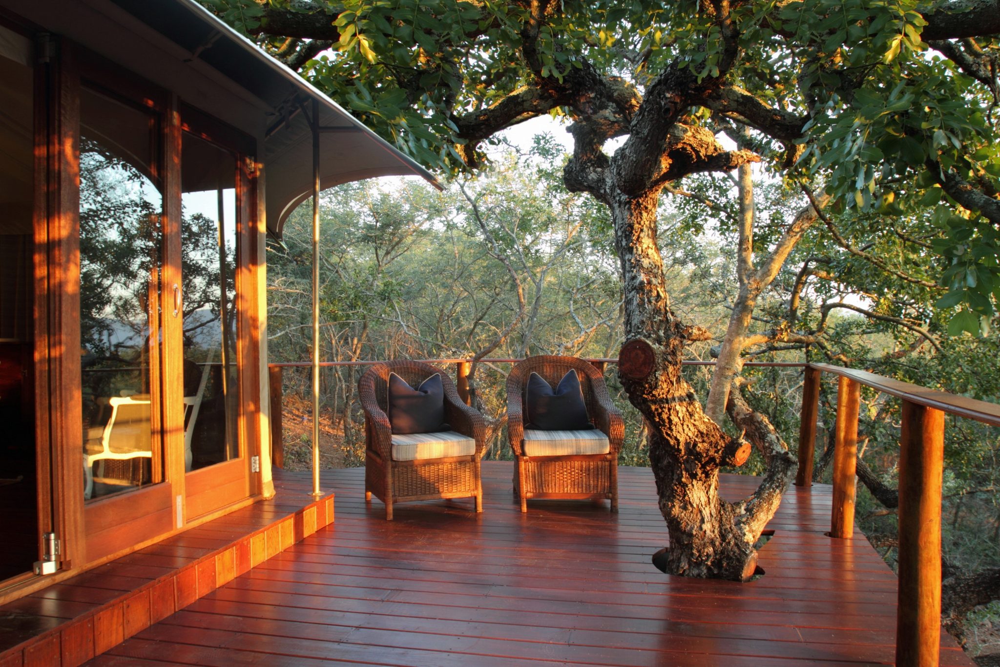 Thanda Tented Camp - Private Deck
