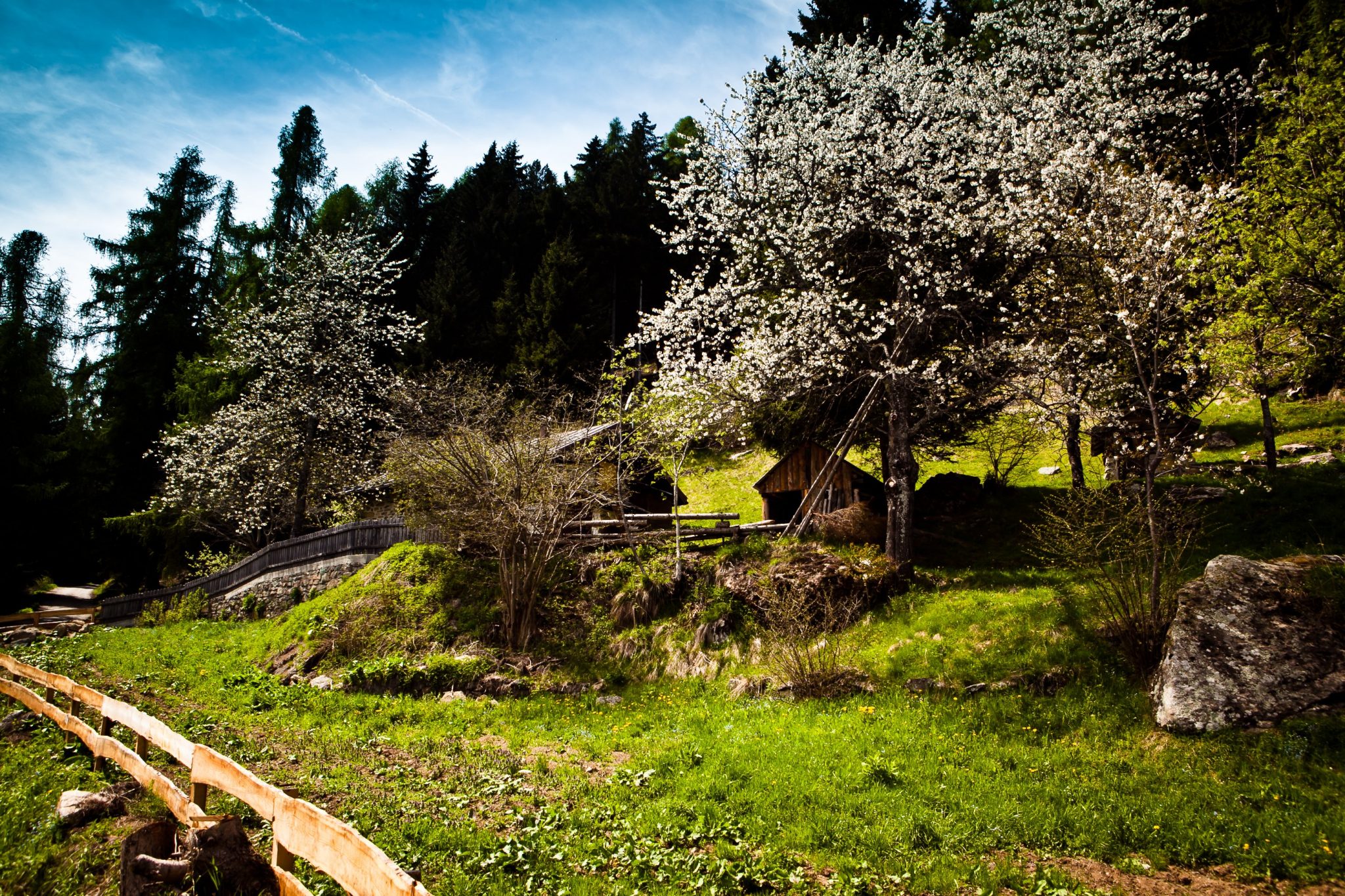 huette_am_waldrand_im_fruehling_lagorai_kette_c_storytravelers_tvb_valsugana_lagorai