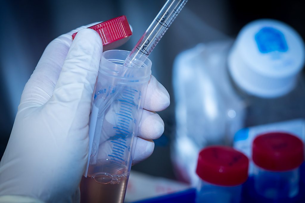 Labor der Labortierpathologie