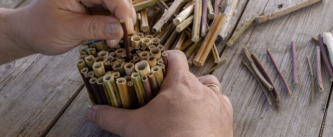 blog-bienenhotel. c Greenpeace