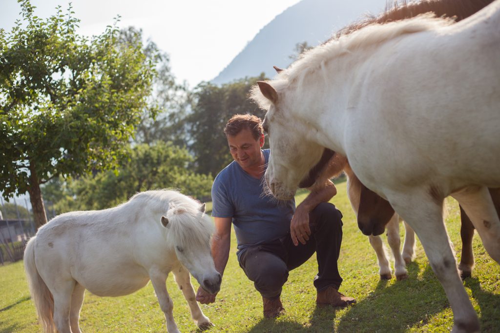 Gastgeber Adi Burgstaller mit seinen Pferden im Familiengut Burgstaller