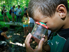 Kinder entdecken die Natur Verein Naturparke Niederösterreich