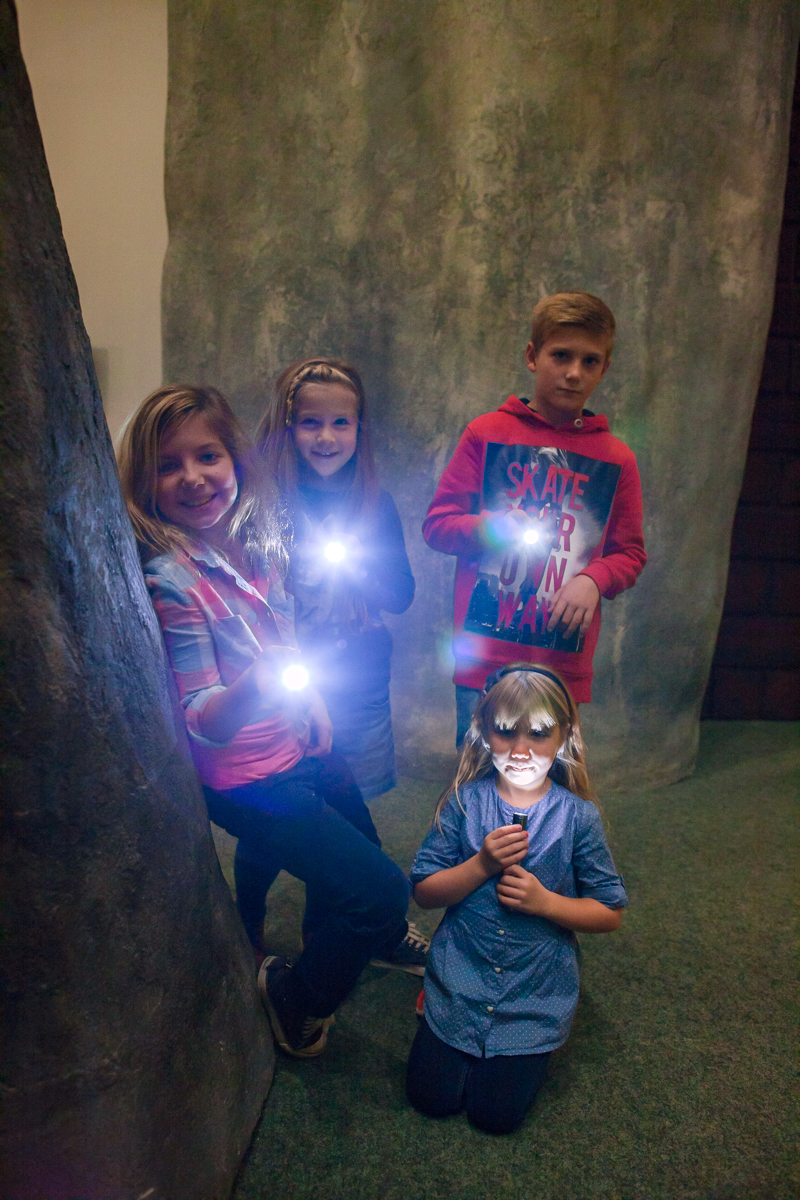 Nachts im Museum MAMUZ