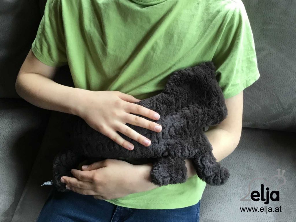 Gewichtstiere: die-katzenmama-am-schoss