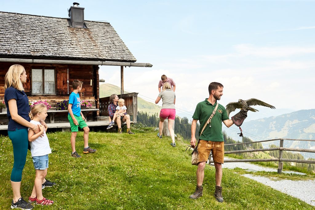 spannende_greifvogelschau_auf_der_rauriser_hochalm_c_maya_inspiranto_tourismusverband_rauris