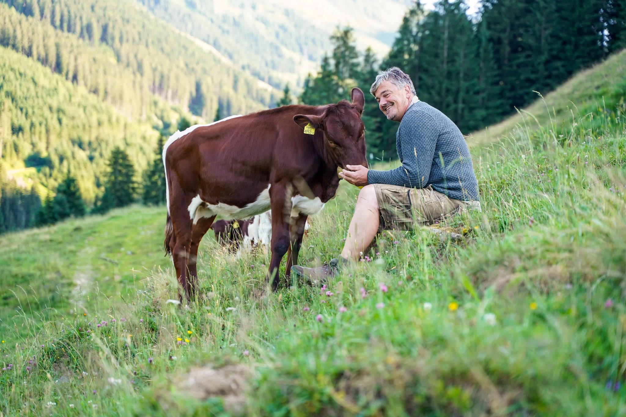 Unterschwarzachhof Minibauernhof