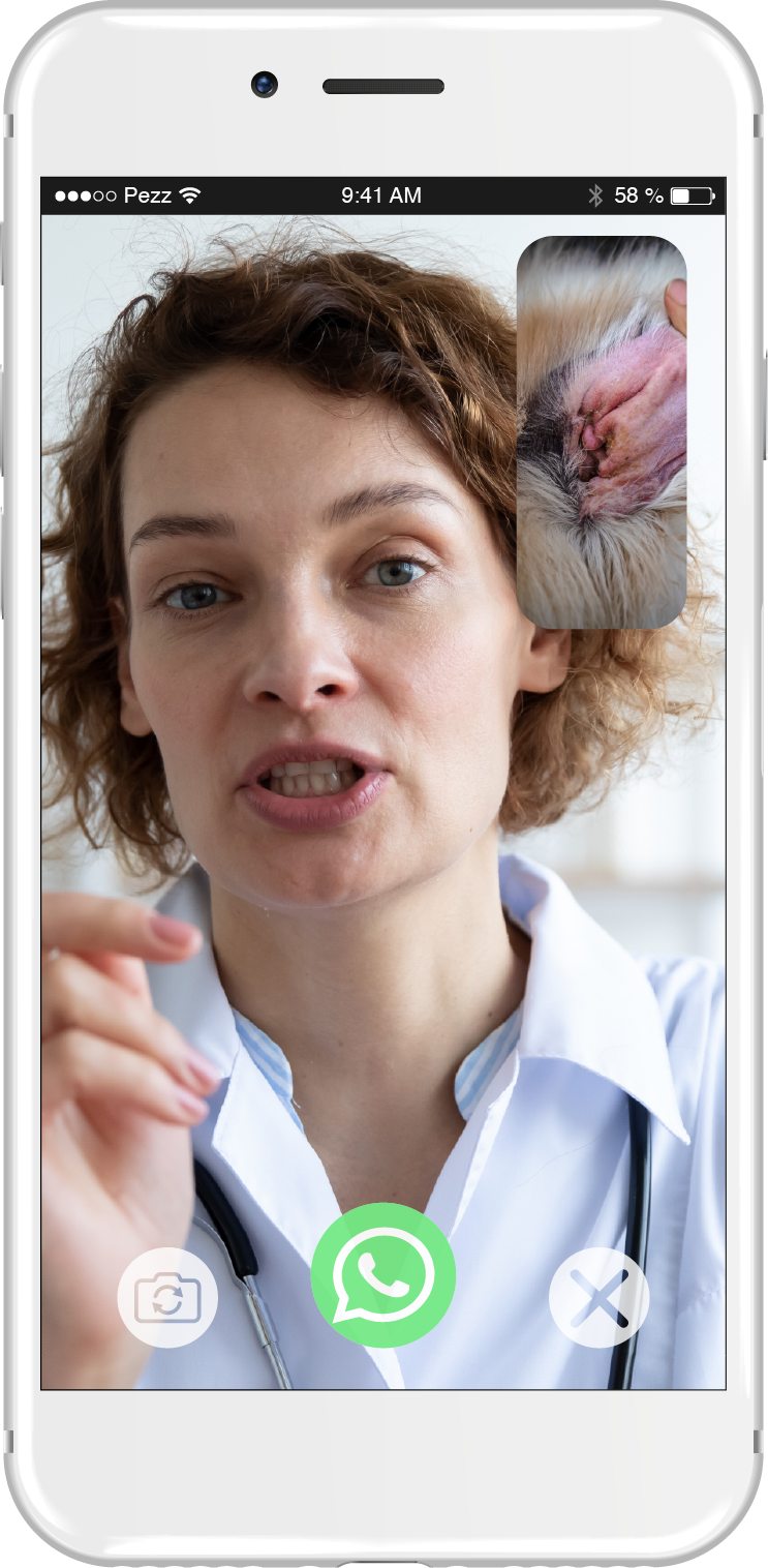 ©Pezz Chat Beratung 1