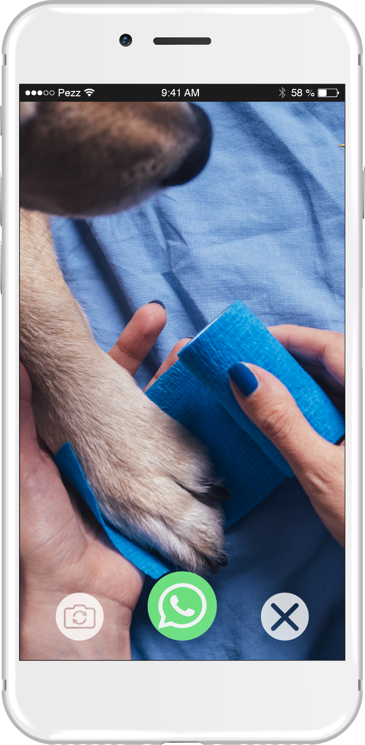 ©Pezz Chat Beratung 2