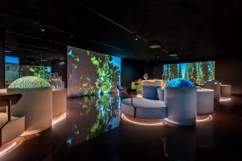 Im BrauKunstHaus gehen Besucher den