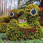 Mainau Blumenfiguren