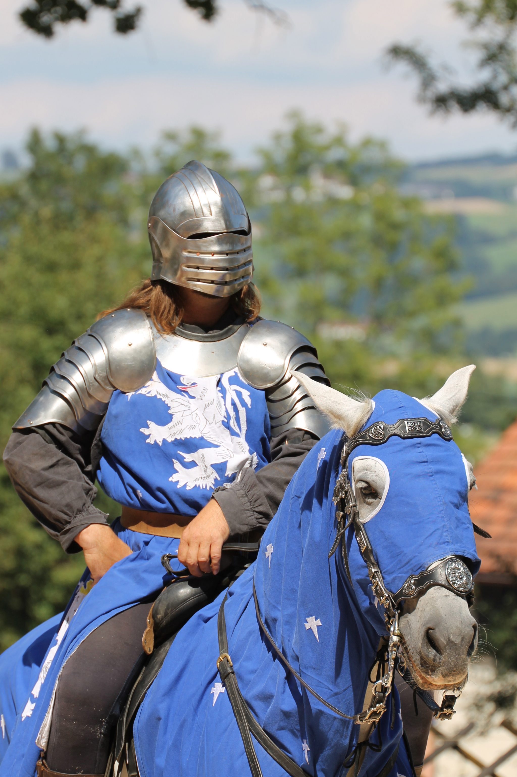 Ritter in Rüstung hoch zu Pferde