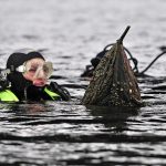 Taucher bei Müllbergung OBf Archiv W. Simlinger