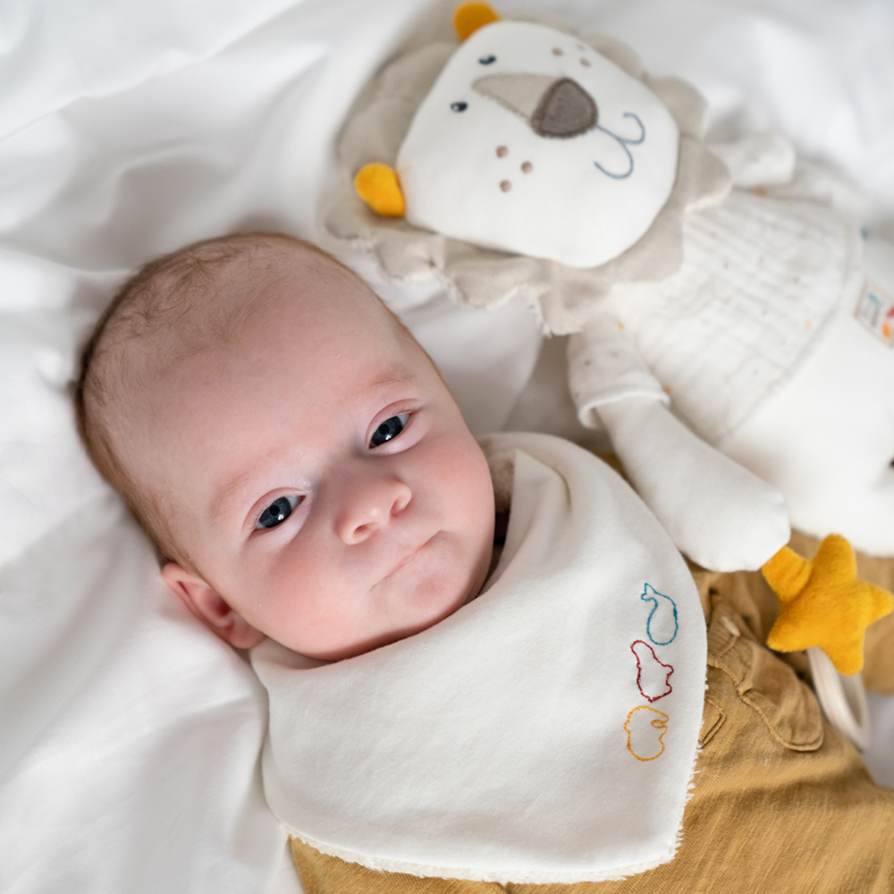 fehnNATUR_Löwe_Mood2