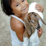 Mary Joy Miguel (age 4) holding a goat. Select images sent from WV Canada, CD310-003. Contact Robert Vesleño for full file of photos. For SHARE assignment s080326-3. See story in Scribe. Summary: Mary Jane and Melecio Miguel received six goats (five does and one buck) from World Vision Canada's gift catalogue in April 2007. The Miguels have 10 children and the goats will help provide them with milk and an extra source of income. The family works together to feed and care for the goats they received from World Vision. Project names: Aklan ADP ; Gift Catalogue Project-Animal Breeding Center And Demonstration Farm ; ADP Aklan Goat Raising Project Funding: Canada Asia digital color vertical
