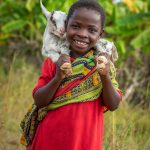 Portraits of Debby holding a goat - potential Gift Catalog and Christmas promotion photos. Summary: Debby and her family are the central figures in the WVUS story that includes sponsorship, the Christmas gift catalog, and the WVI Global Power Claim that because of our community-focused solutions, for every child you help, 4 more children benefit, too. The family lives in Moyo AP in southern Zambia: start date October 1, 2009. Debbys family consists of her father, Obby Kachepo, 52, her mother, Melecy Sibinga, 38, and five siblingsthree brothers still live at home. Her brothers are Bini, 15, Bani, 12, and Addy, 10. Life used to be challenging in southern Zambia, says Debbys father, Obby, speaking in Tonga: We never had resources. We never had knowledge in the way World Vision has brought knowledge about life now. We lived more or less like animals. We never had a toilet. You would cover a long distance and you were drawing from a shallow water and streams, which was dirty water. Death was very common in those days. People were dying from preventable diseases. Obbys older sister died of cholera. The familys six-year-old boy died of diarrhea. In 2013, things changed, he says. God answered our prayers through World Vision. Obby became a caregiver and today looks after 120 sponsored children. The goats came in 2013 as part of the pass on program. The family received fiveone male and four females. The breed which World Vision brought was a different breed, he says. They were big goats. The cross breeding made our traditional goats bigger. They make more money. The life of the family has completely turned around. Today they live in a sturdy home with a tin roof, instead of a grass-thatched roof that leaked. Obby says the WVI Global Power Claim is true. A lot of children who are not sponsored benefit from the children who are sponsored. One borehole drilled in the village is not only for the sponsored children, but all t
