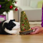 Meerschweinchen mit Kind_Fressnapf