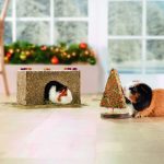 Meerschweinchenpärchen_Fressnapf