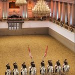 Das Finale der Schulquadrille mit acht Lipizzaner und den Bereiter in der prächtigen, geschmückten Reithalle der Spanischen Hofreitschule