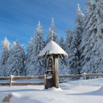 verschneiter_boehmerwald_inns_holz